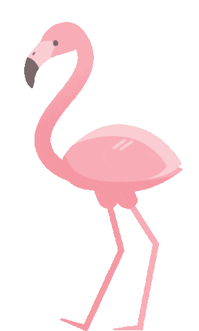 https://giphy.com/stickers/party-animal-flamingo-WrynLGoED10a3CaBpZ
